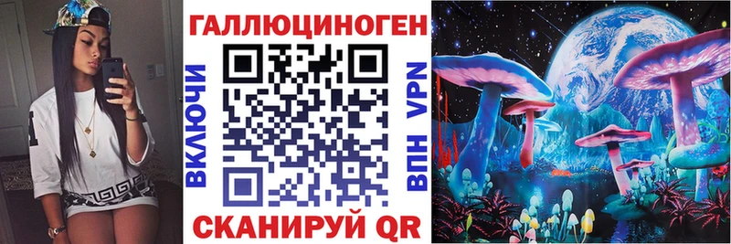 Галлюциногенные грибы прущие грибы дарк нет наркотические препараты Салаир где можно купить наркотик